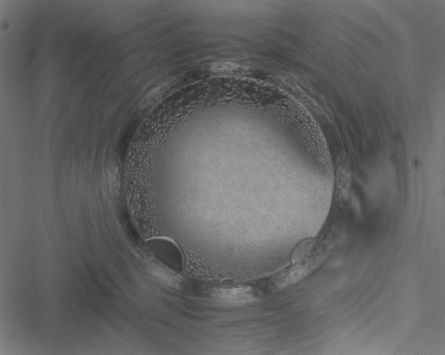 X0000051250375200506171142