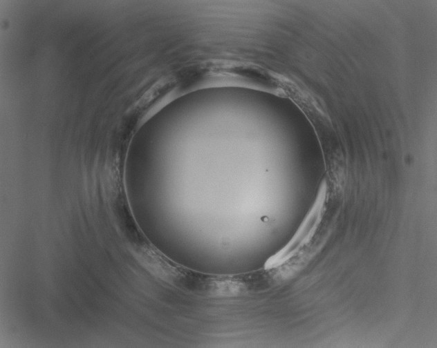 X0000051250376200506171142