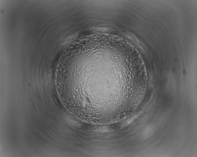 X0000051250377200506171142