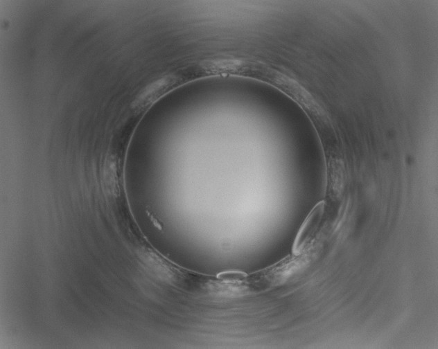 X0000051250378200506171142