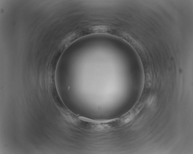 X0000051250379200506171142