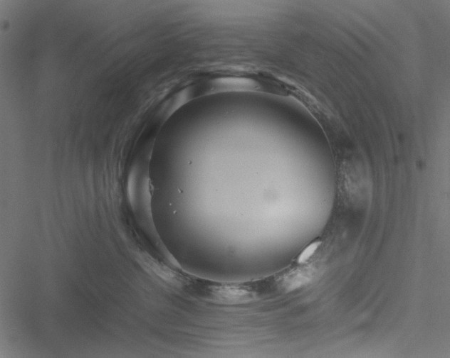 X0000051250380200506171142