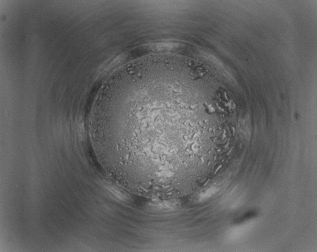 X0000051250381200506171142