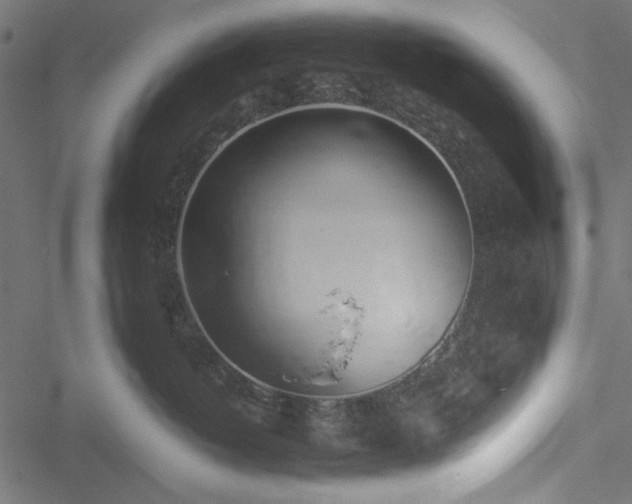 X0000051250382200506171142