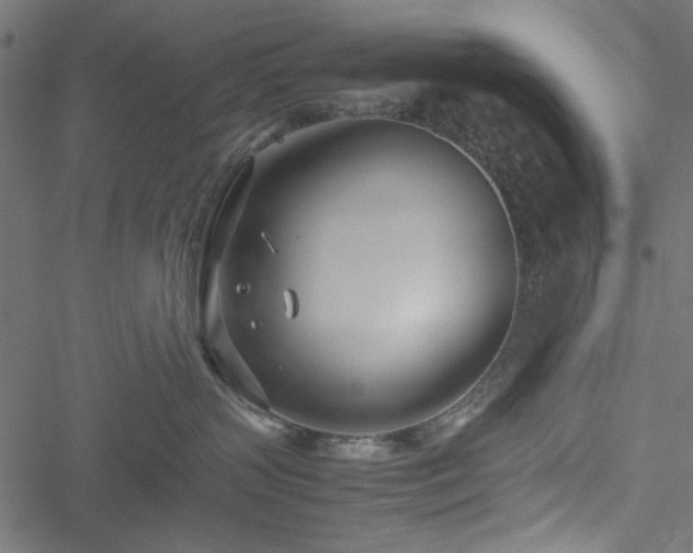 X0000051250383200506171142