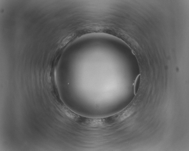 X0000051250384200506171142