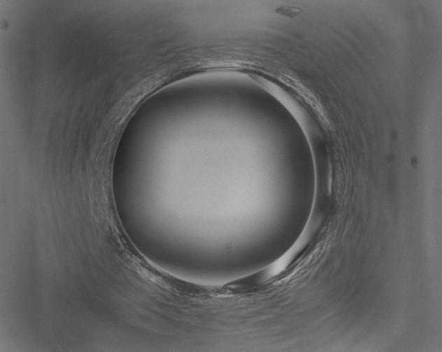 X0000051250385200506171141