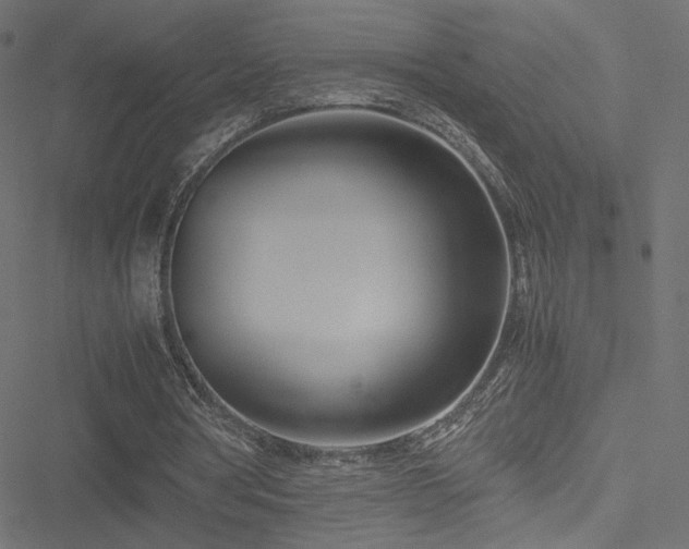 X0000051250386200506171141