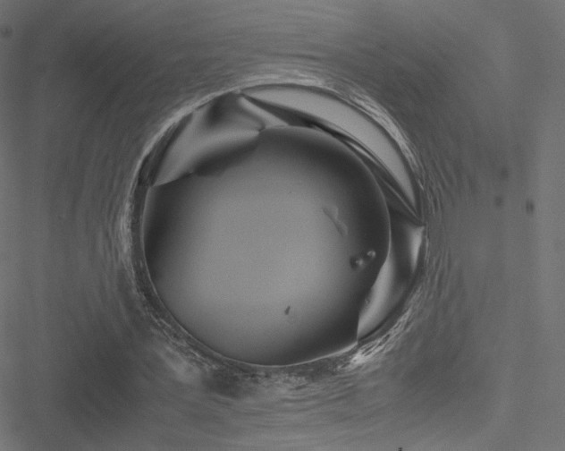 X0000051250387200506171141