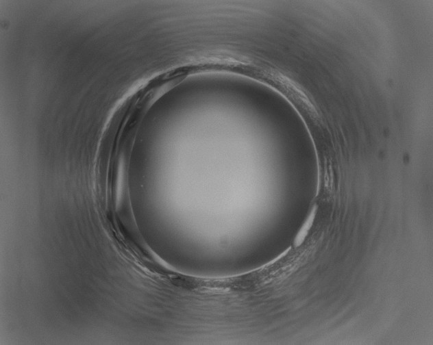 X0000051250388200506171141