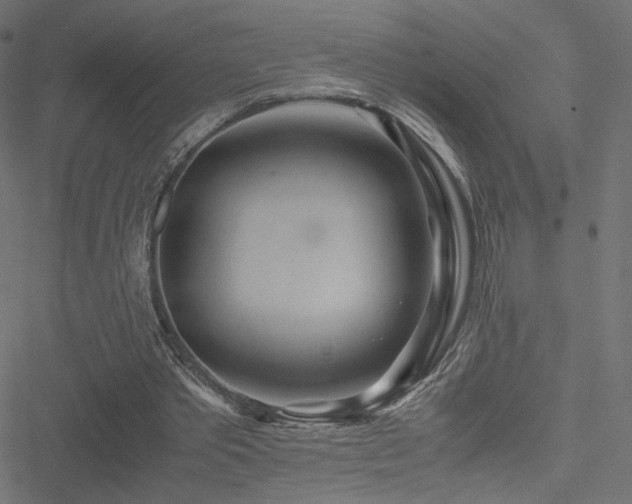 X0000051250389200506171141