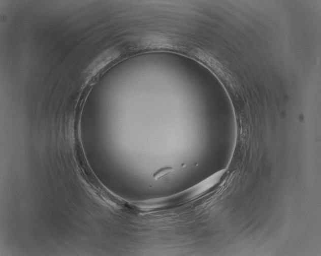 X0000051250390200506171141