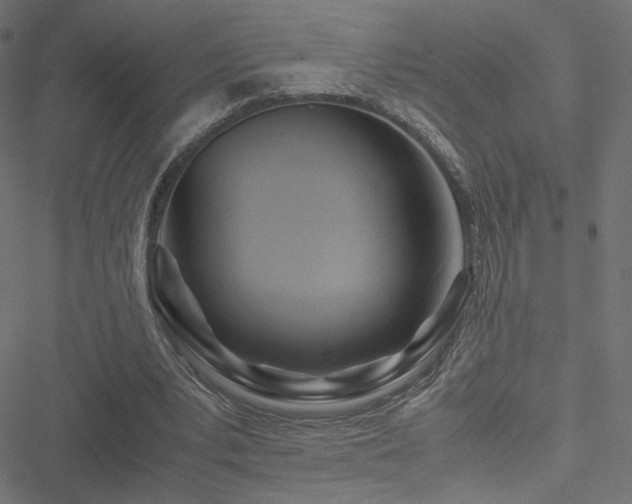 X0000051250391200506171141