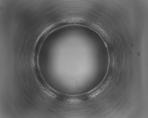 X0000051250392200506171141