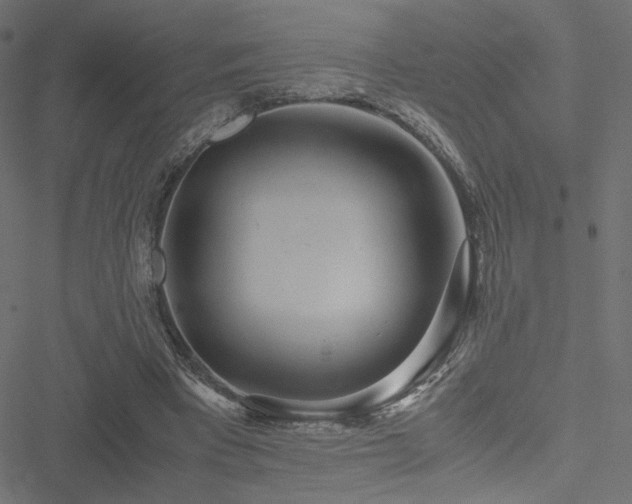 X0000051250393200506171141