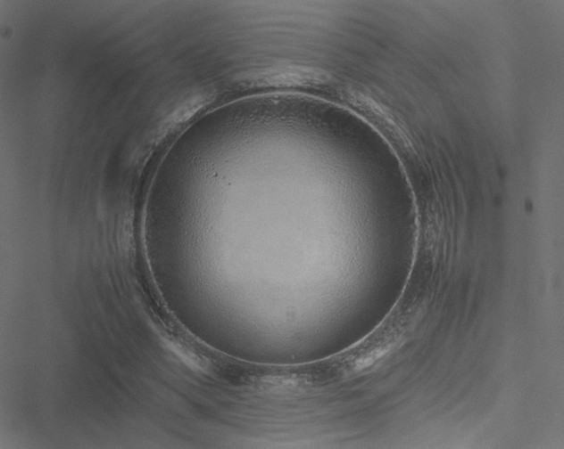 X0000051250394200506171141