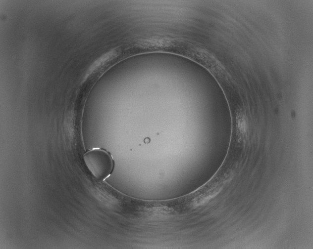 X0000051250396200506171141