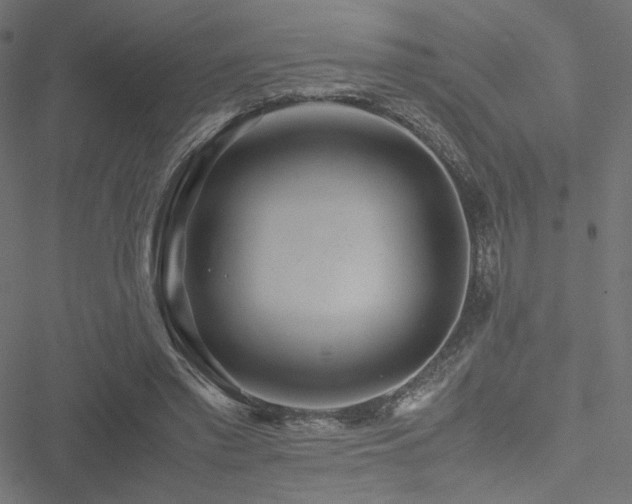 X0000051250397200506171141