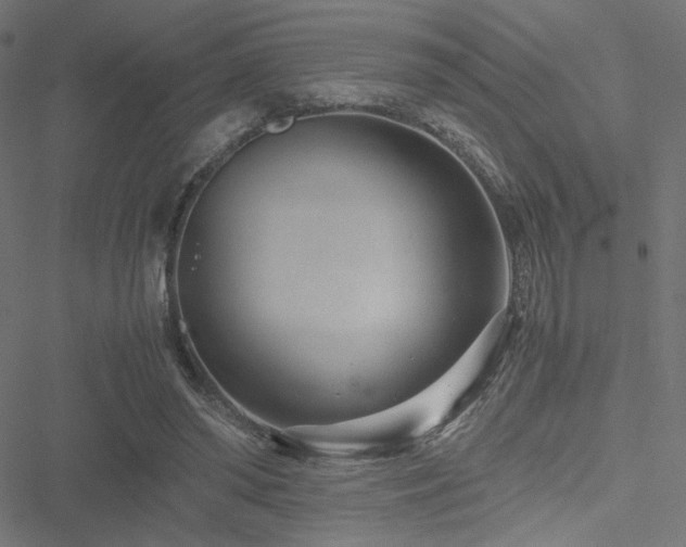 X0000051250398200506171141