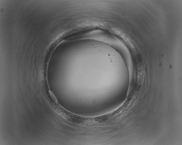 X0000051250399200506171141