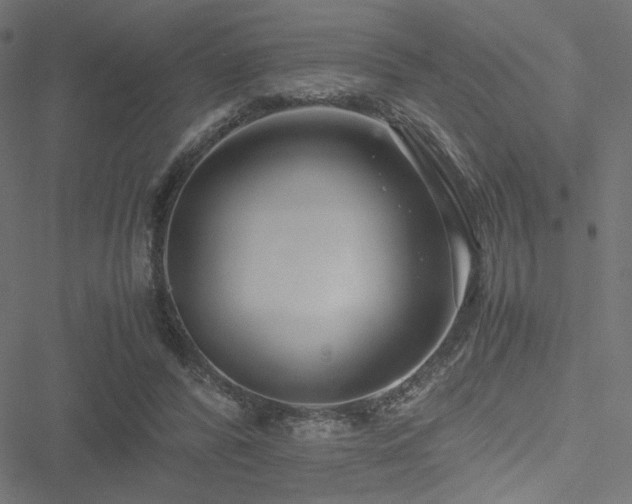 X0000051250400200506171141