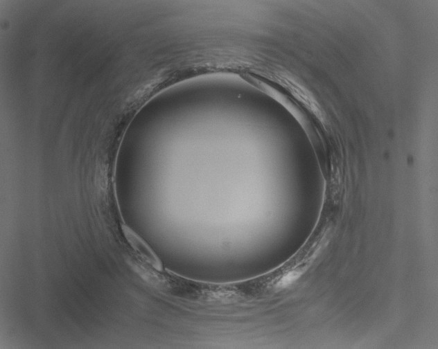 X0000051250401200506171141