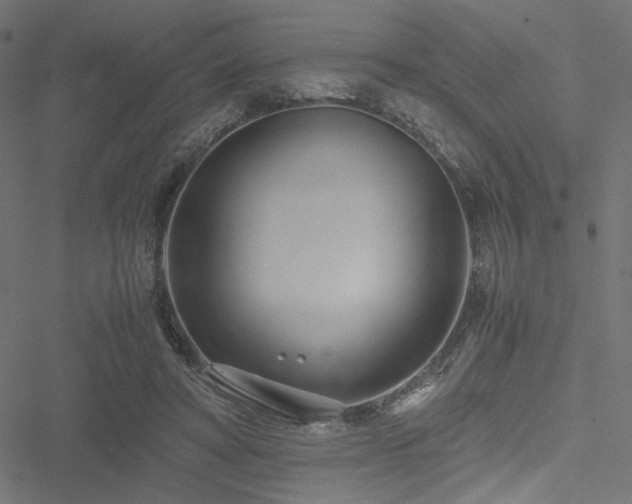 X0000051250402200506171141