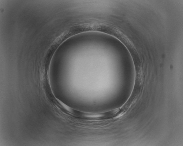 X0000051250403200506171141