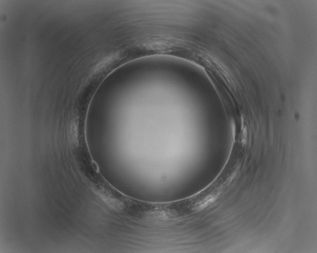 X0000051250404200506171141