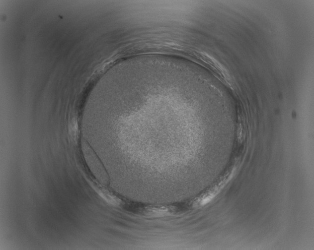 X0000051250405200506171141