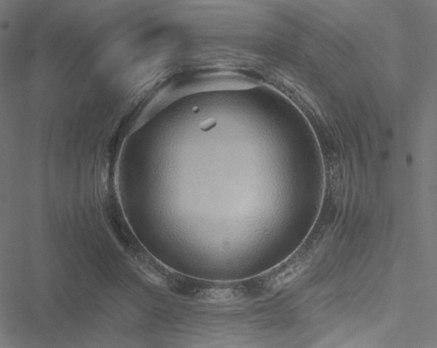 X0000051250406200506171141