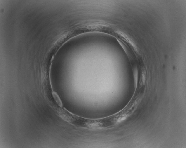 X0000051250407200506171141