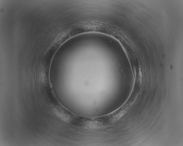 X0000051250408200506171141