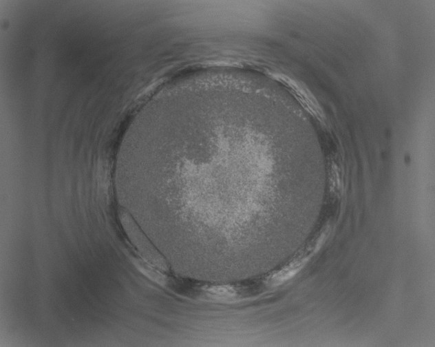 X0000051250409200506171141