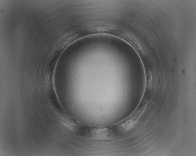 X0000051250410200506171141