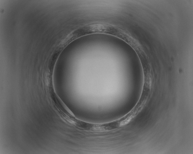 X0000051250413200506171141