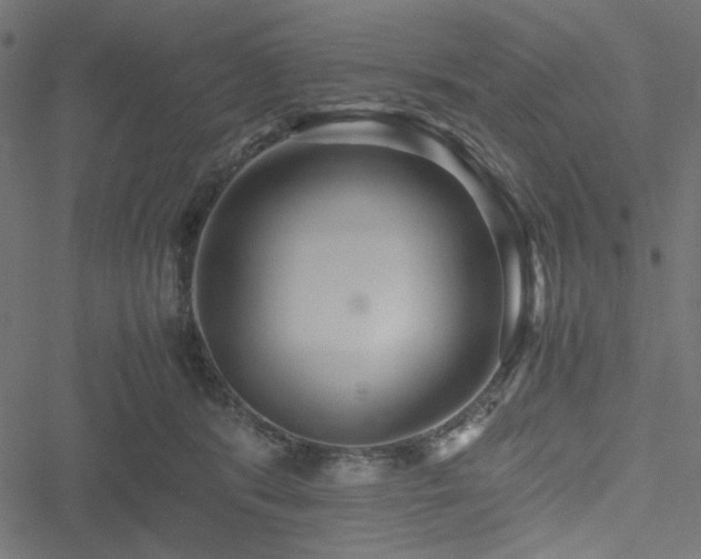 X0000051250416200506171140