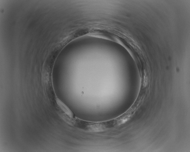 X0000051250417200506171140