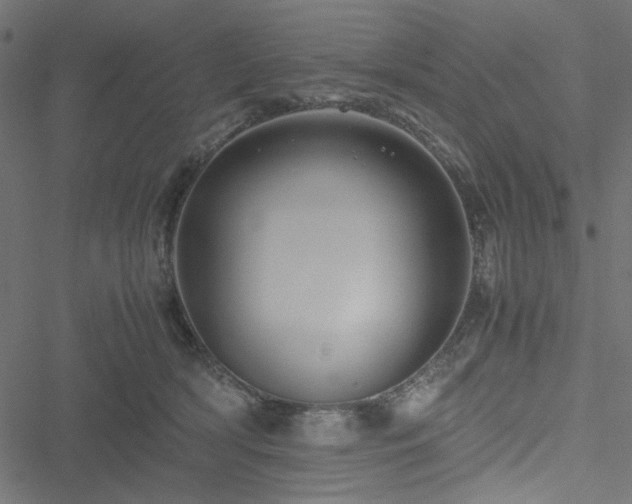 X0000051250418200506171140