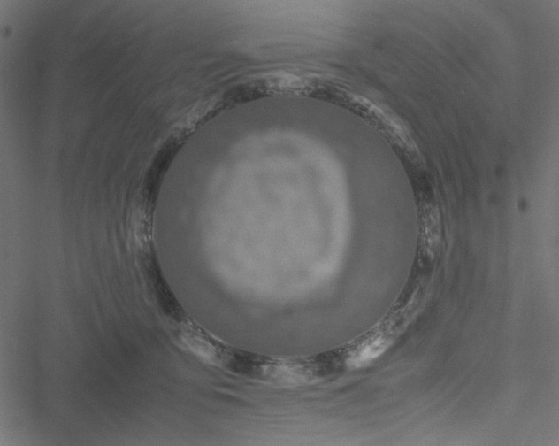 X0000051250419200506171140