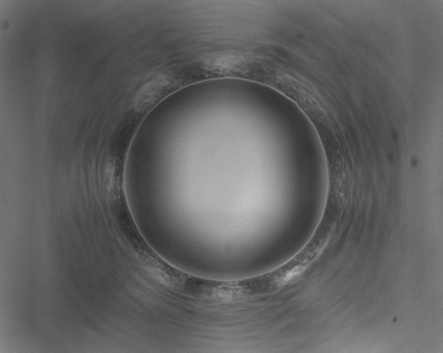 X0000051250420200506171140