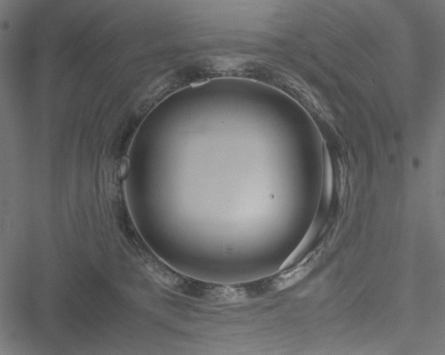 X0000051250421200506171140