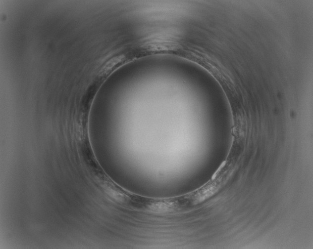 X0000051250422200506171140