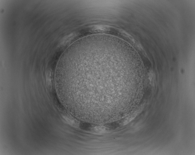 X0000051250423200506171140