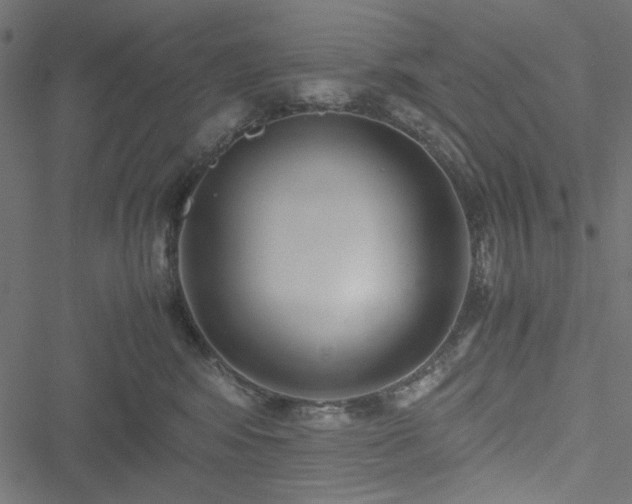 X0000051250424200506171140