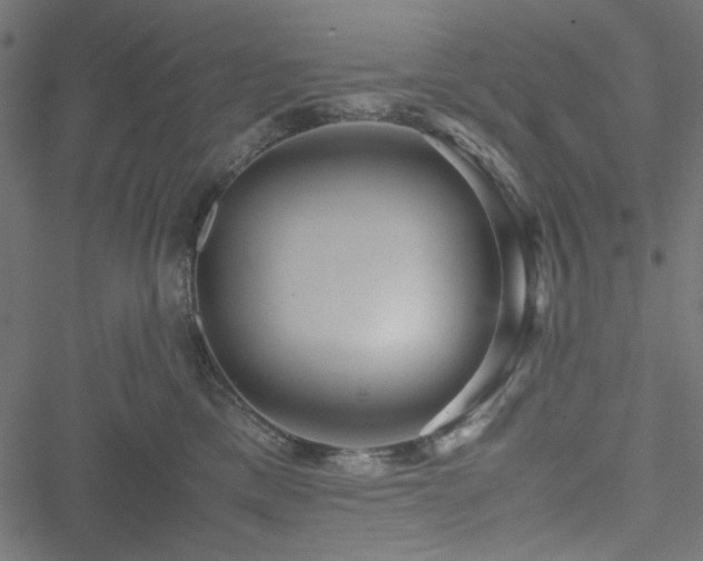 X0000051250425200506171140