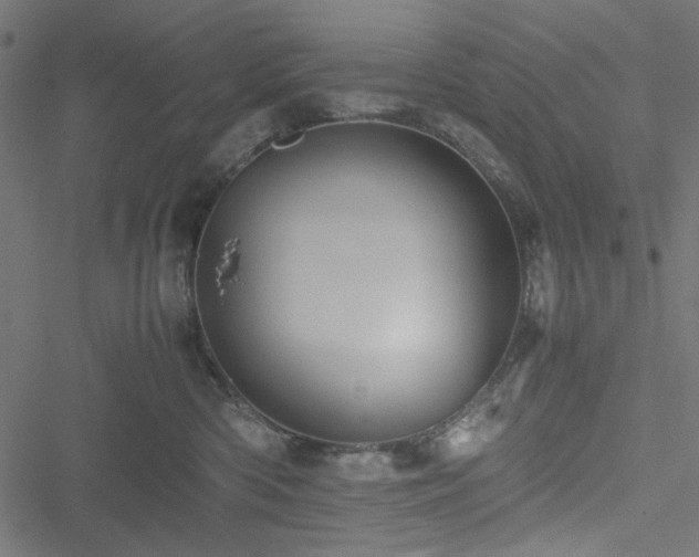 X0000051250426200506171140