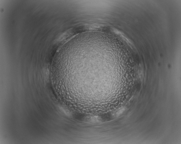 X0000051250427200506171140