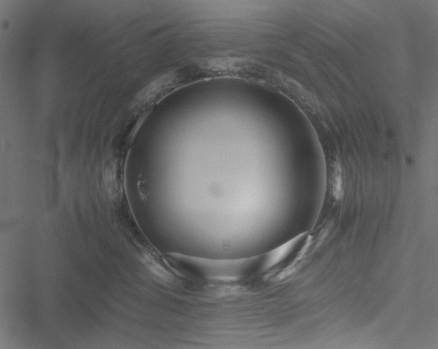 X0000051250428200506171140