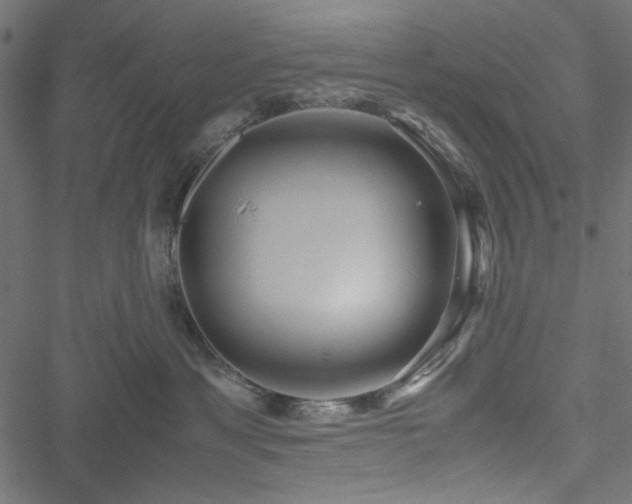 X0000051250429200506171140